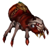 5.png